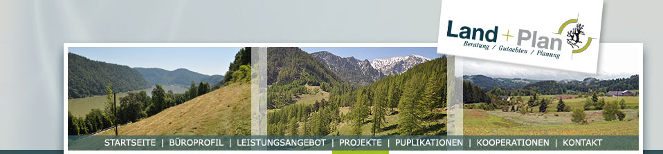 Projekte
